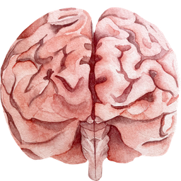 Big brain